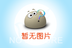 菏澤永磁起重器工廠(chǎng)定制加工